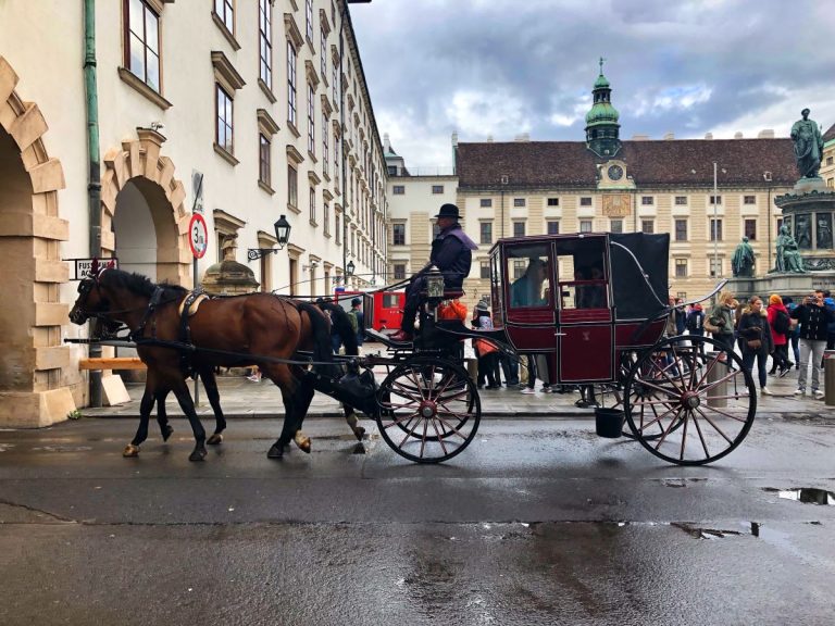 Dunkle Jahreszeit in Wien - Regen / Düster
